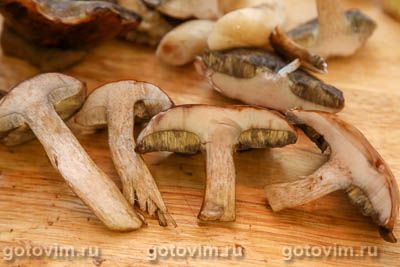 Соленые польские грибы в банке Соленые польские грибы в банке