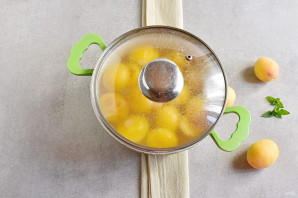 Абрикосовый компот