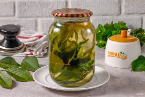 Компот из листьев вишни на зиму Компот из листьев вишни на зиму