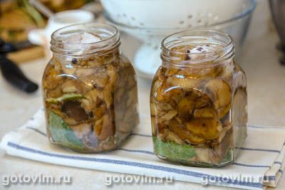 Соленые польские грибы в банке Соленые польские грибы в банке