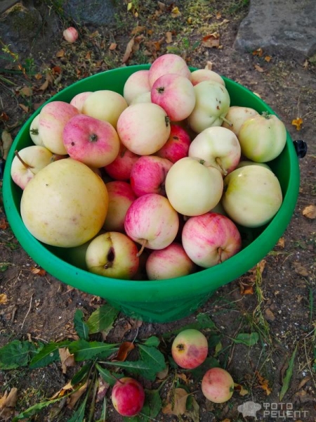 Рецепт: Яблочное варенье - протертое на тёрке Рецепт: Яблочное варенье - протертое на тёрке