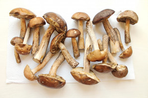 Заморозка подберезовиков на зиму