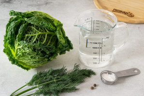 Савойская квашеная капуста Савойская квашеная капуста