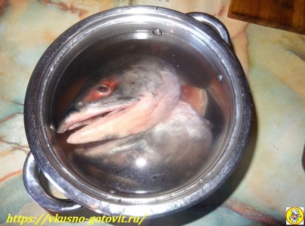 Рыбный суп из головы красной рыбы — суп из рыбьих голов в домашних условиях
Рыбный суп из головы красной рыбы — суп из рыбьих голов в домашних условиях