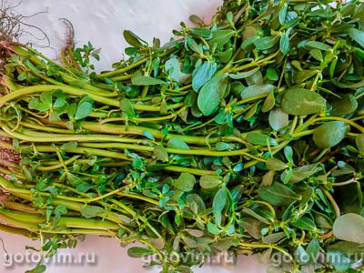 Портулак маринованный