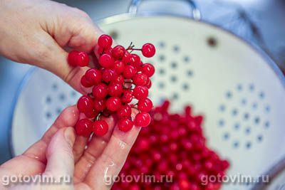 Сырое варенье из калины с апельсином