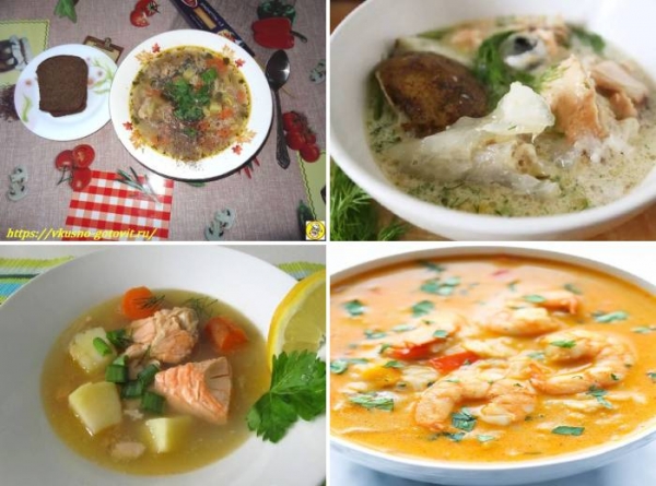 Рыбный суп из головы красной рыбы — суп из рыбьих голов в домашних условиях
Рыбный суп из головы красной рыбы — суп из рыбьих голов в домашних условиях