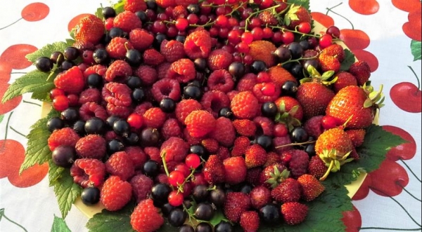 Взбитые сливки с желе из красной смородины, с фруктами и съедобными цветами, пошаговый рецепт с фото