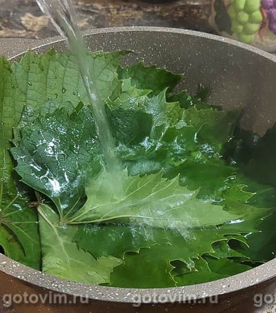 Маринованные виноградные листья на зиму