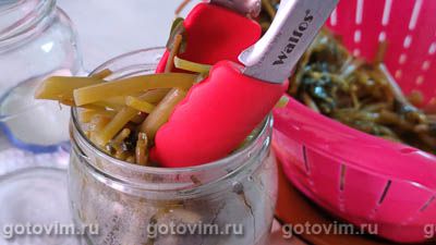 Портулак маринованный