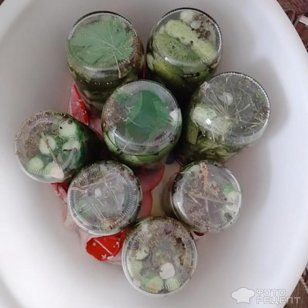 Рецепт: Маринованные огурчики - Хрустящие, с зёрнами горчицы.