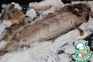 Терпуг в соляном панцире