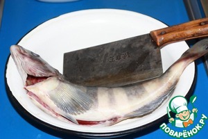 Терпуг в соляном панцире