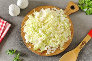 Щи с солеными огурцами и свежей капустой Щи с солеными огурцами и свежей капустой