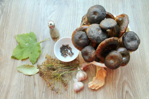 Засолка груздей сухим способом Засолка груздей сухим способом