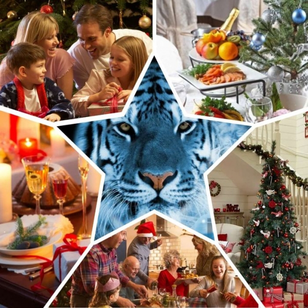 
Что приготовить на Новый 2022 год Тигра нового и интересного. Меню на новогодний стол	