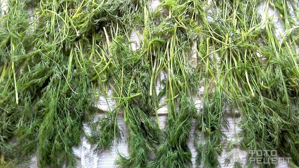 Рецепт: Сухая засолка зелени - Простая заготовка укропа на зиму без заморозки и сушки. Рецепт без весов.