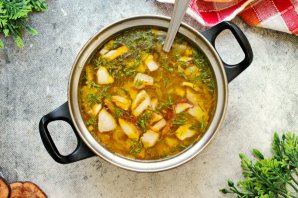 Суп из белых грибов замороженных Суп из белых грибов замороженных