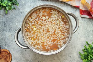 Молдавская Зама