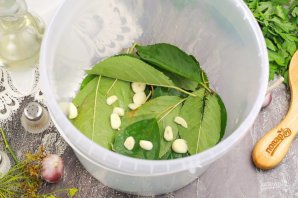 Рецепт малосольных огурцов на зиму Рецепт малосольных огурцов на зиму