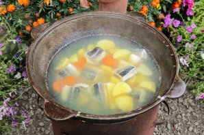 Уха из стерляди на костре Уха из стерляди на костре