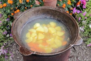 Уха из стерляди на костре Уха из стерляди на костре