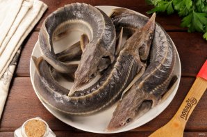 Уха из стерляди на костре Уха из стерляди на костре