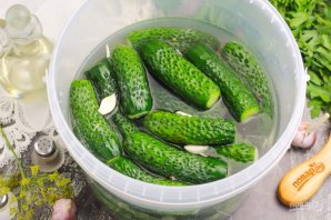 Рецепт малосольных огурцов на зиму Рецепт малосольных огурцов на зиму