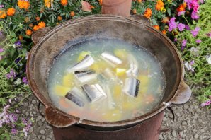 Уха из стерляди на костре Уха из стерляди на костре