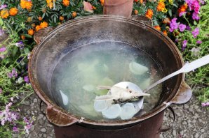 Уха из стерляди на костре Уха из стерляди на костре