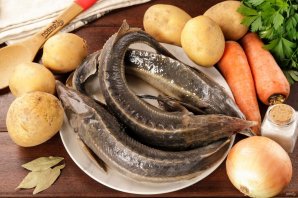 Уха из стерляди на костре Уха из стерляди на костре