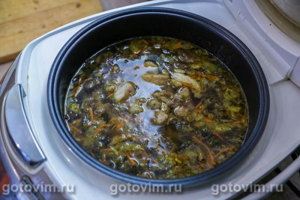 Суп со свининой и замороженными опятами в мультиварке