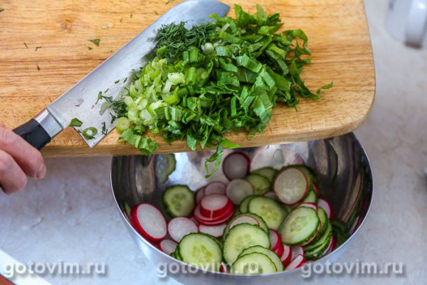 Салат из щавеля с огурцом, яйцом, редисом и горчичной заправкой