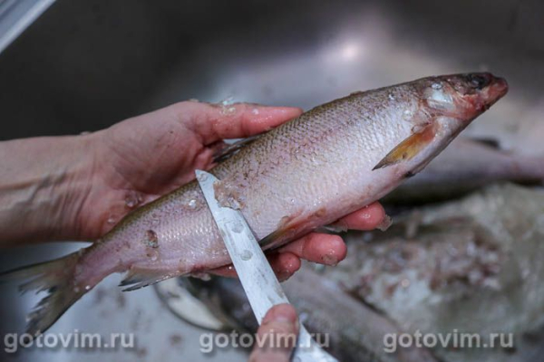 Пелядь, жаренная в панировке с манкой в мультиварке