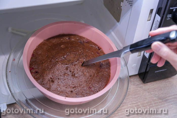 Шоколадный бисквит с кофе и клюквой в микроволновке