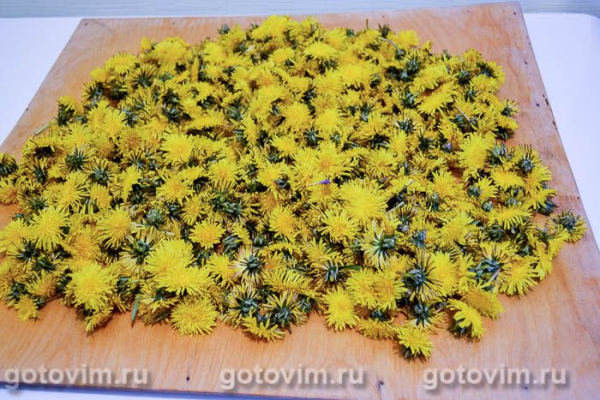 Варенье из одуванчиков